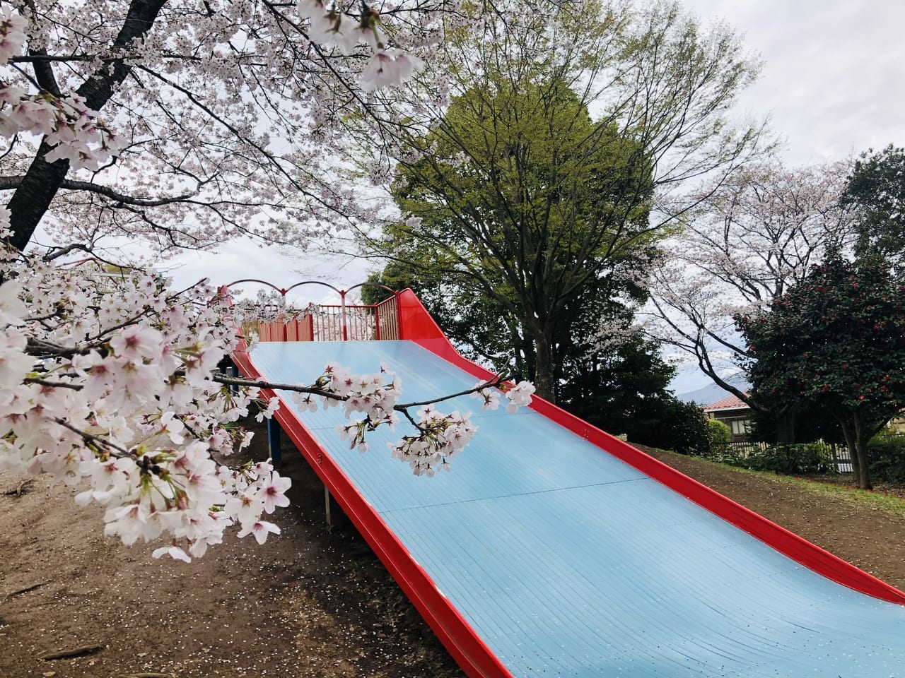 県西総合公園