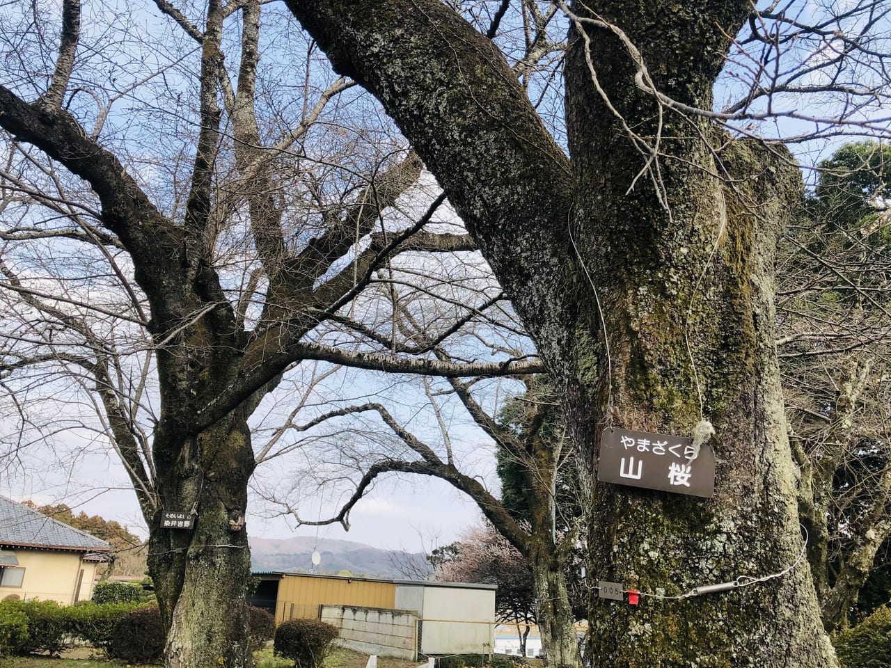 磯部桜川公園