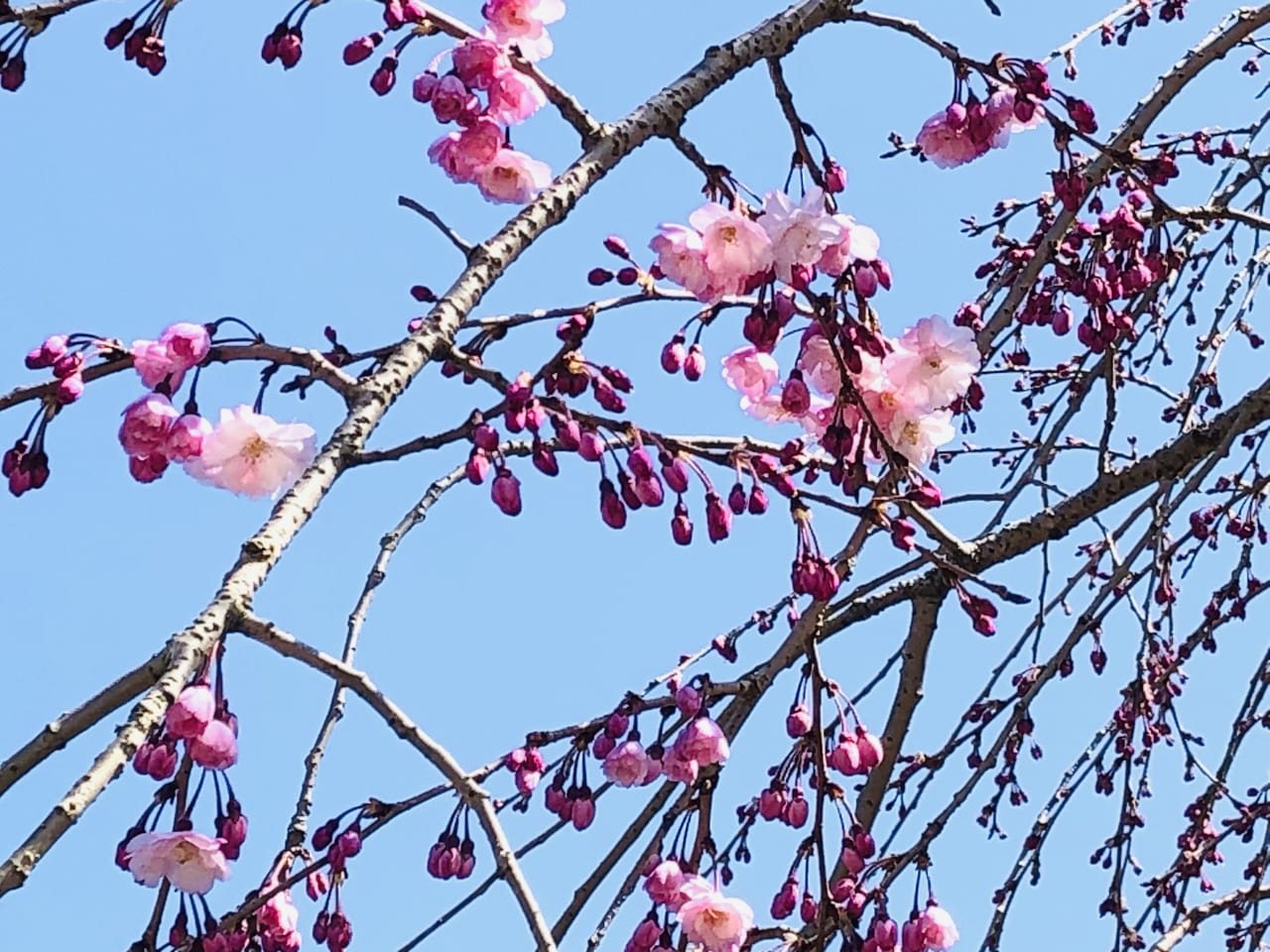 下岡崎近隣公園