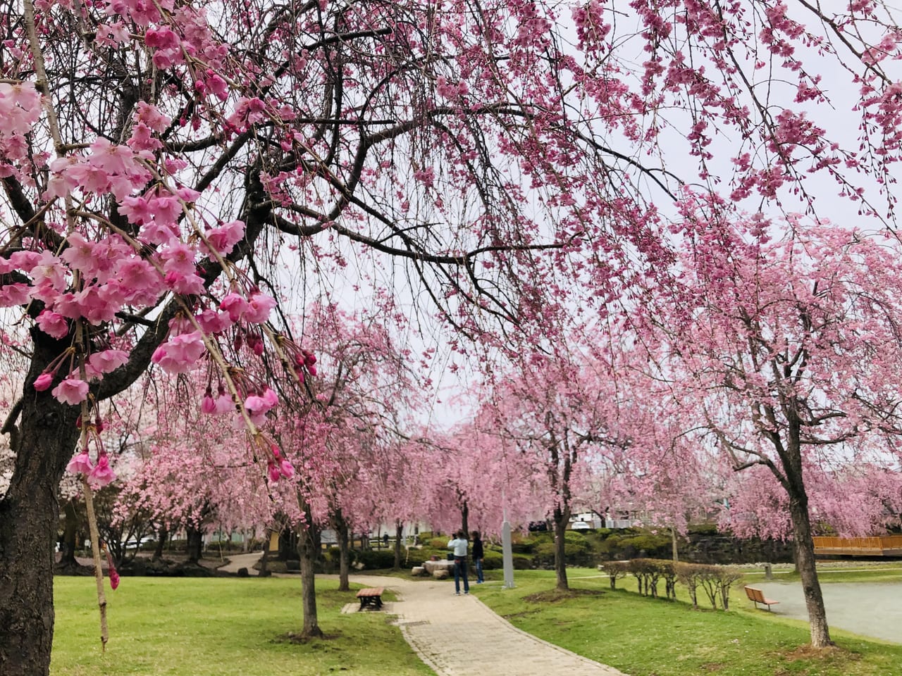 下岡崎近隣公園