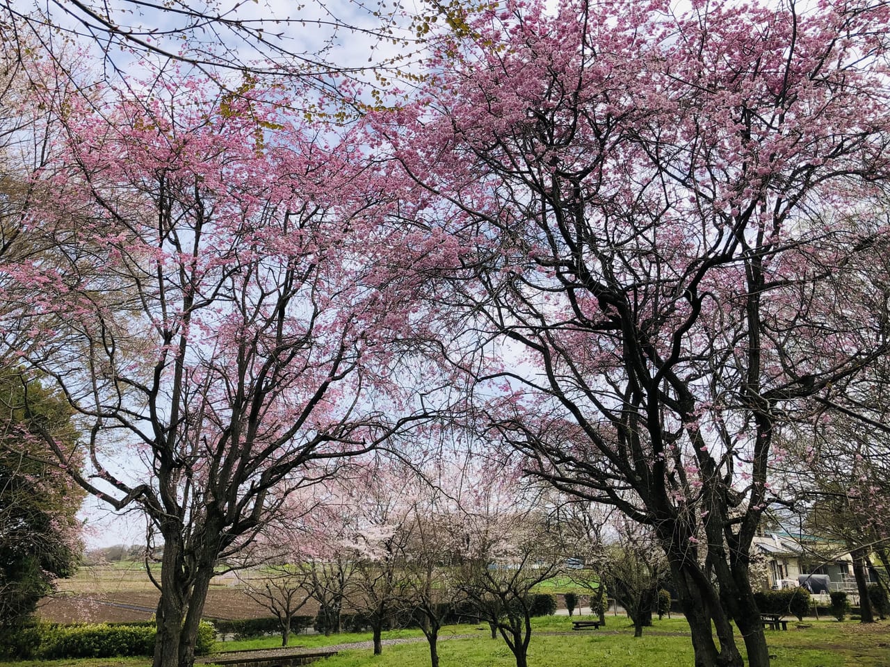 宮山ふるさとふれあい公園