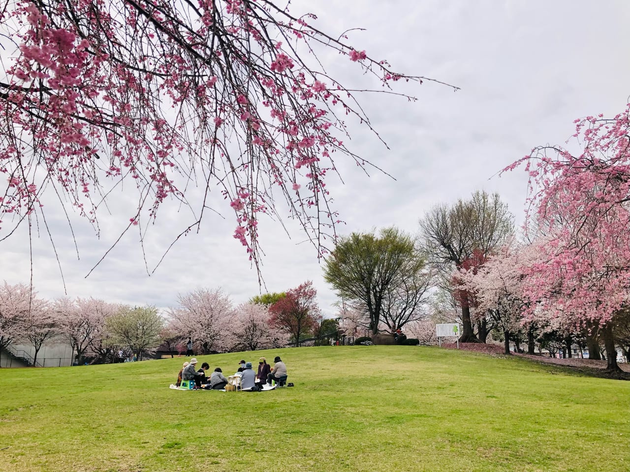 下岡崎近隣公園