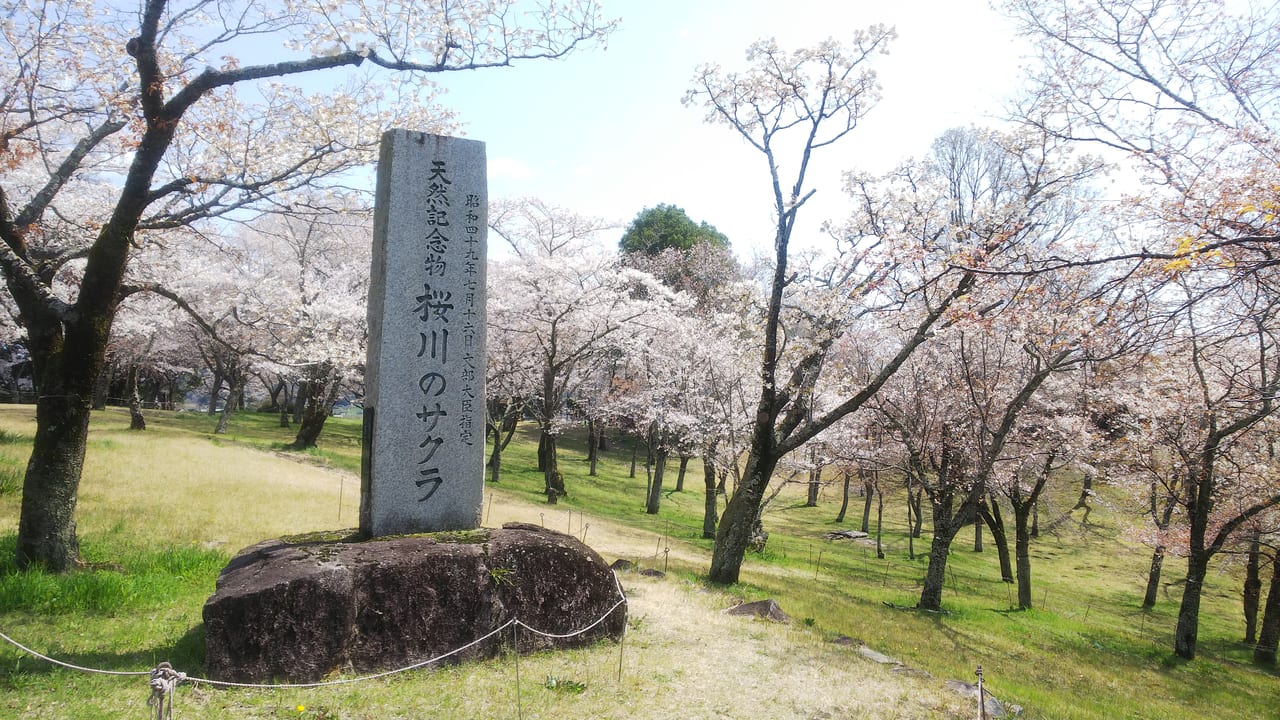 磯部桜川公園