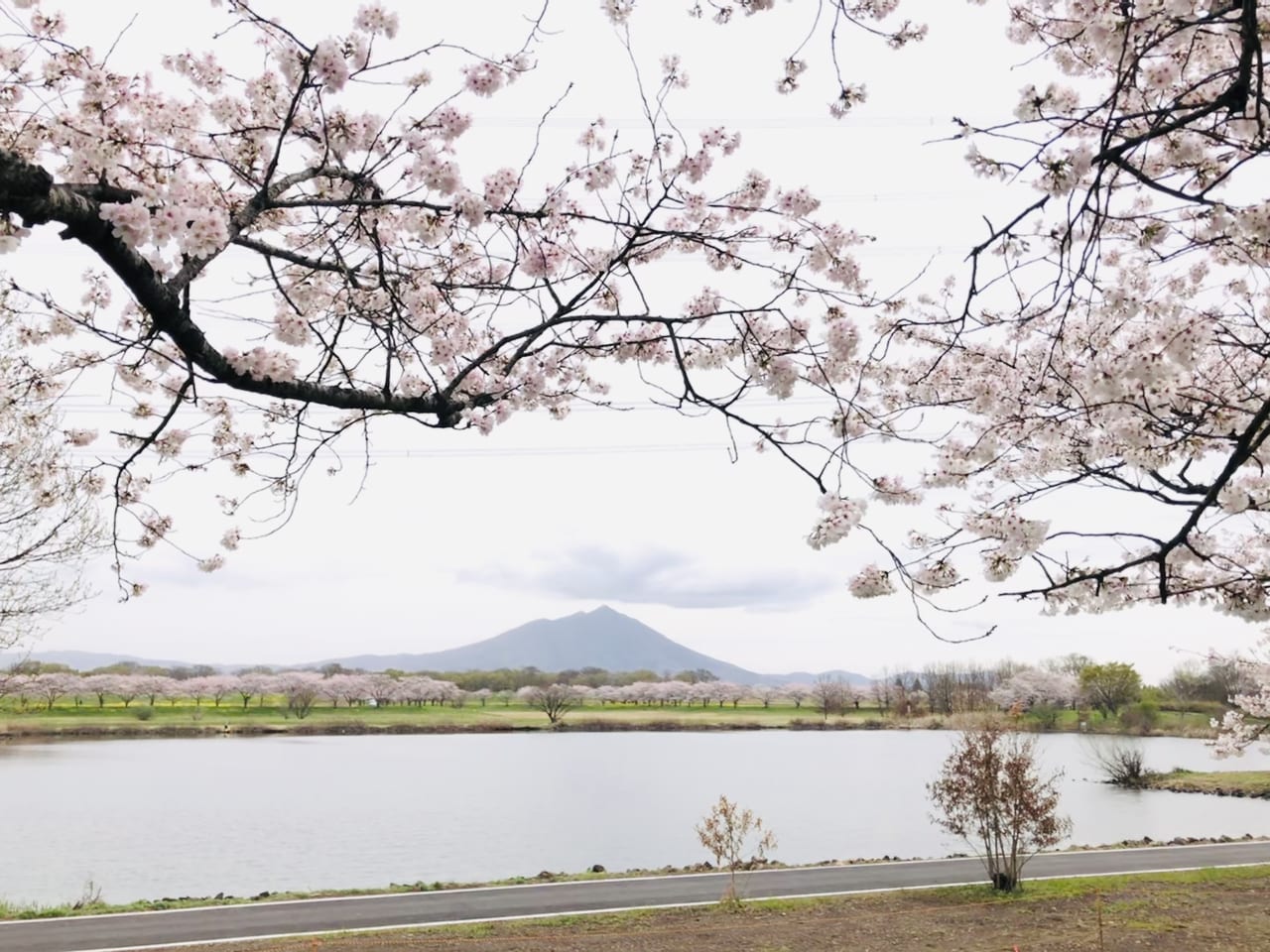 母子島遊水地