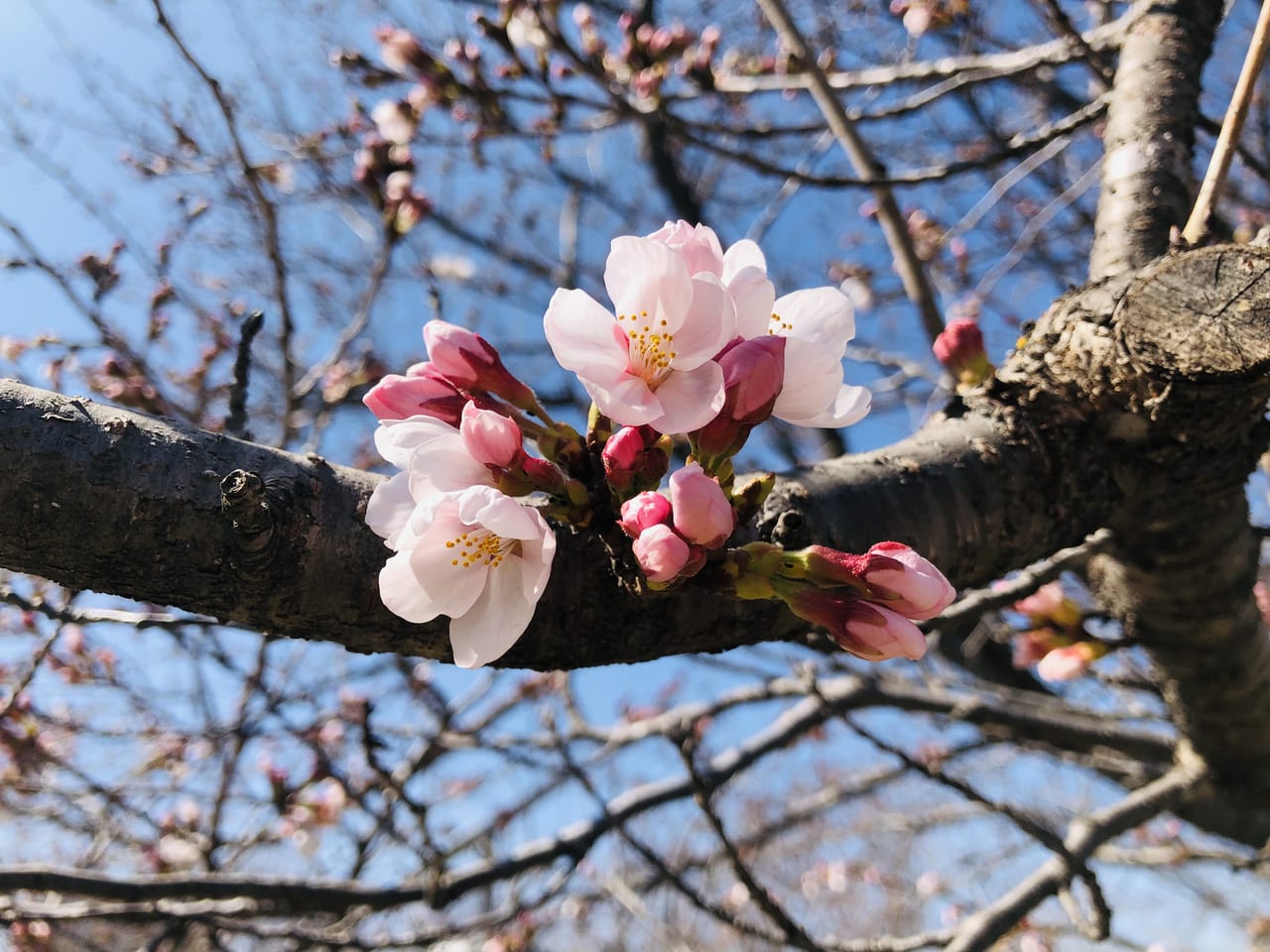 下岡崎近隣公園