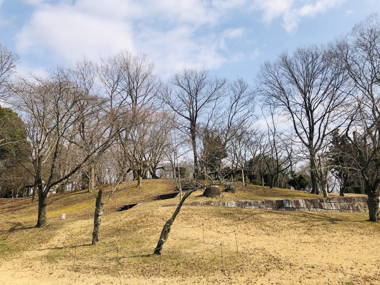 磯部桜川公園