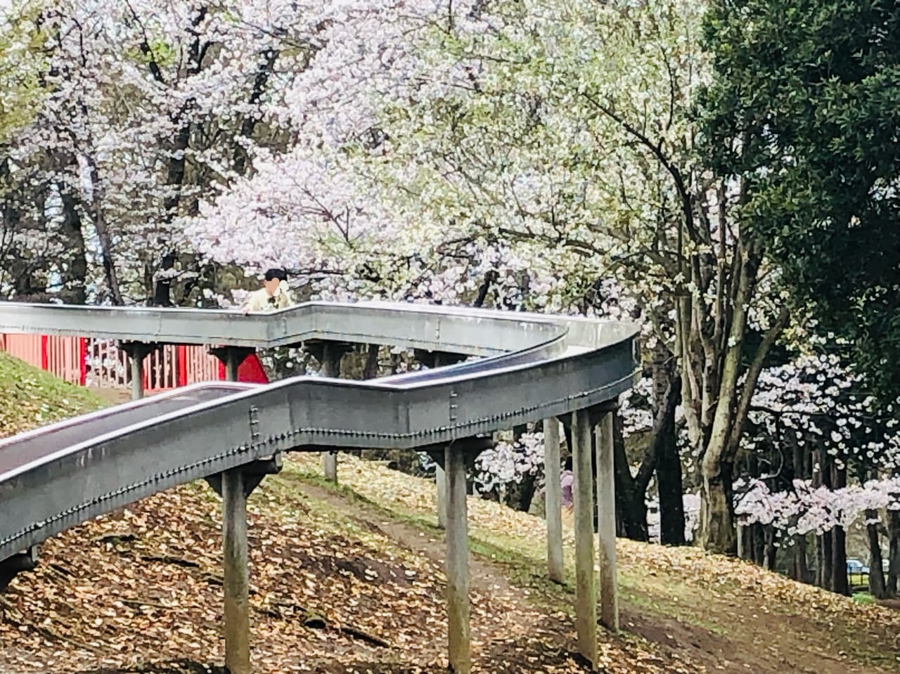 県西総合公園