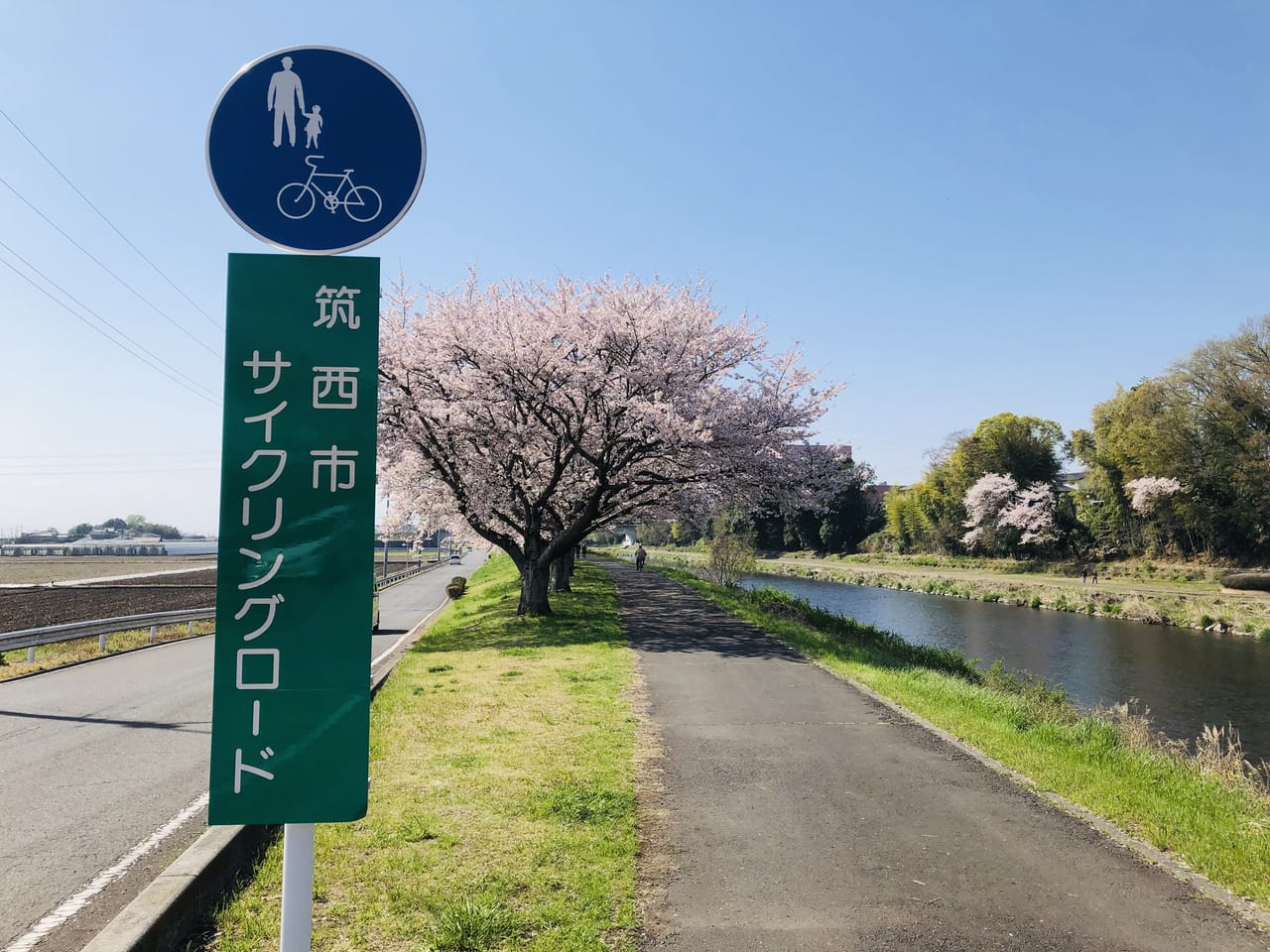 五行川サイクリングロード