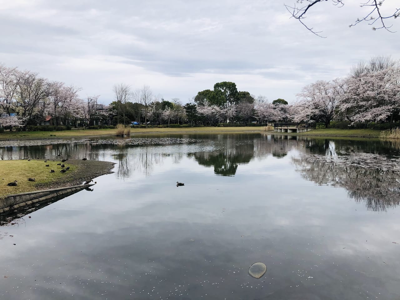 県西総合公園