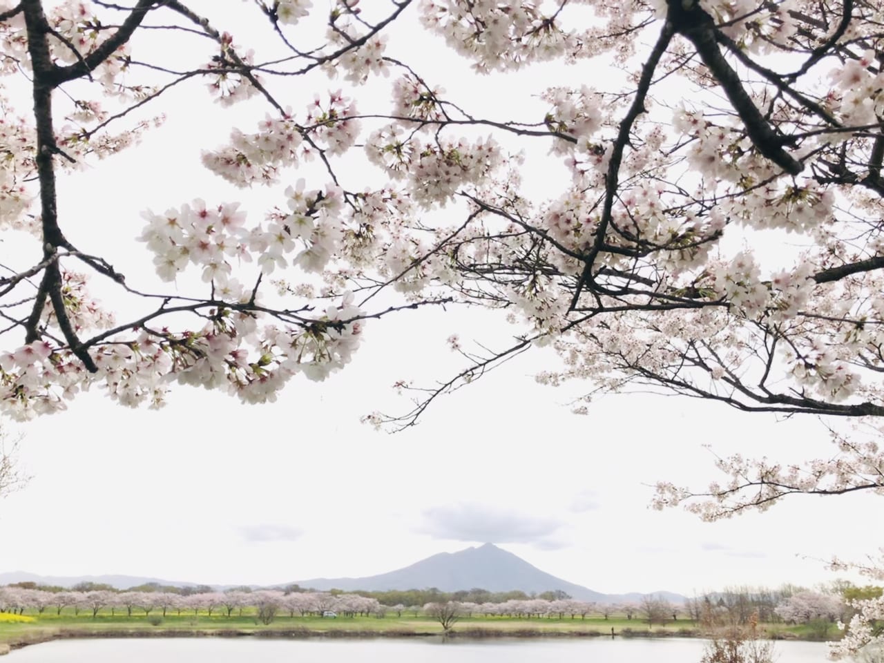 母子島遊水地