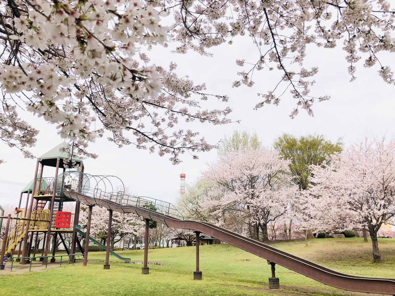 下岡崎近隣公園