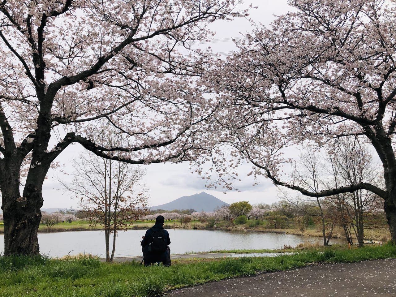 母子島遊水地