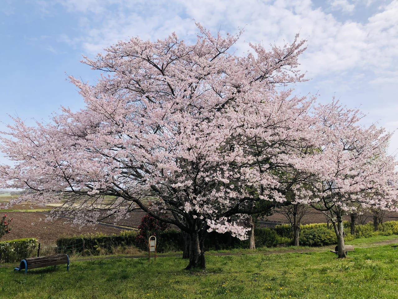 宮山ふるさとふれあい公園