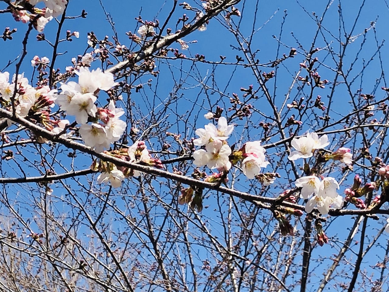 下岡崎近隣公園