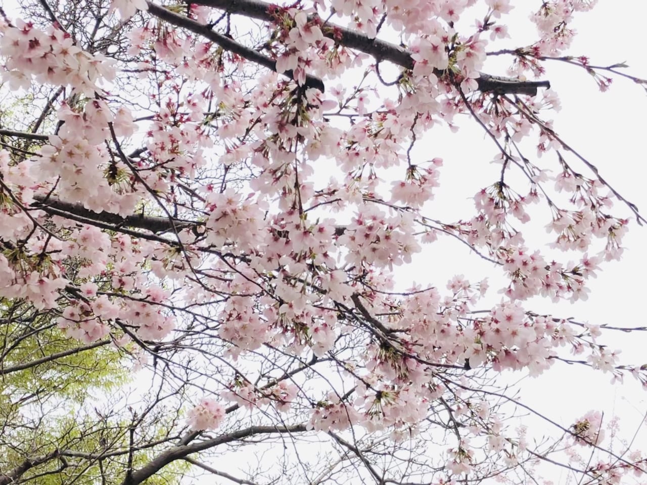 下岡崎近隣公園