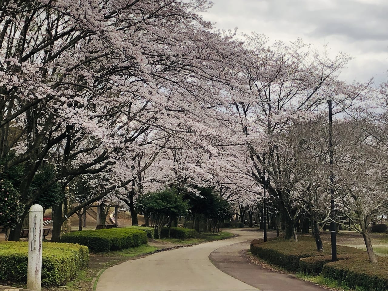 県西総合運動公園