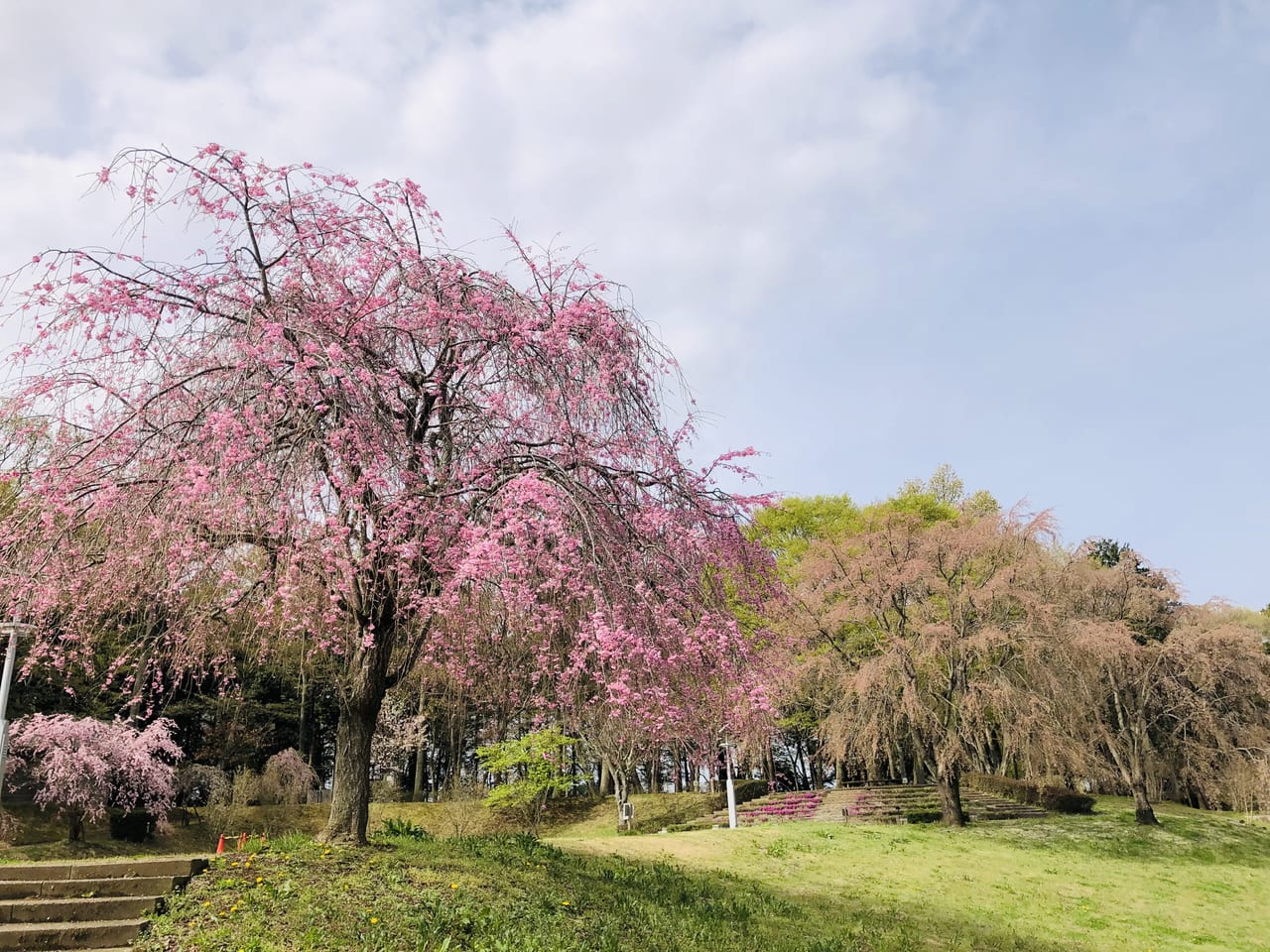 宮山ふるさとふれあい公園