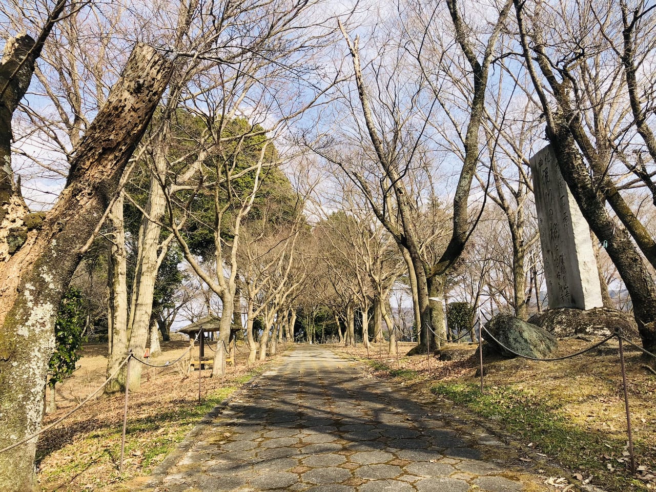 磯部桜川公園