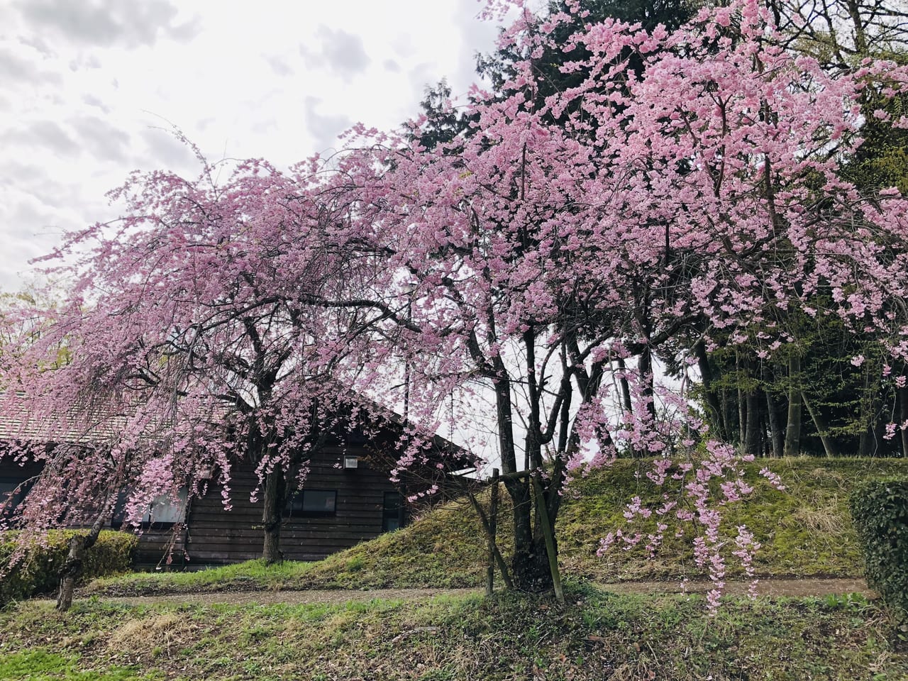 宮山ふるさとふれあい公園