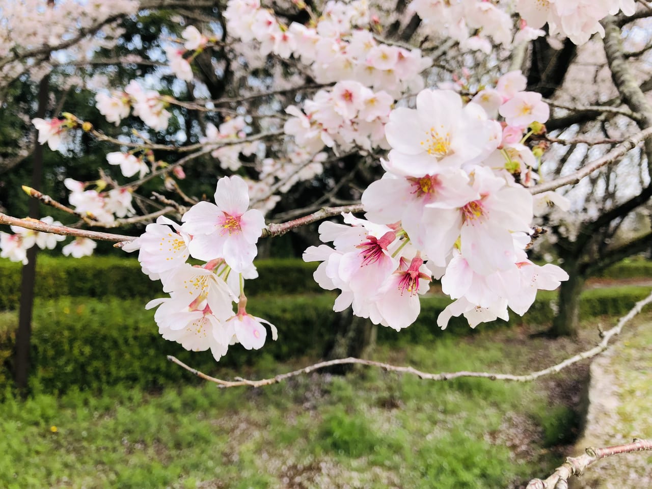 宮山ふるさとふれあい公園