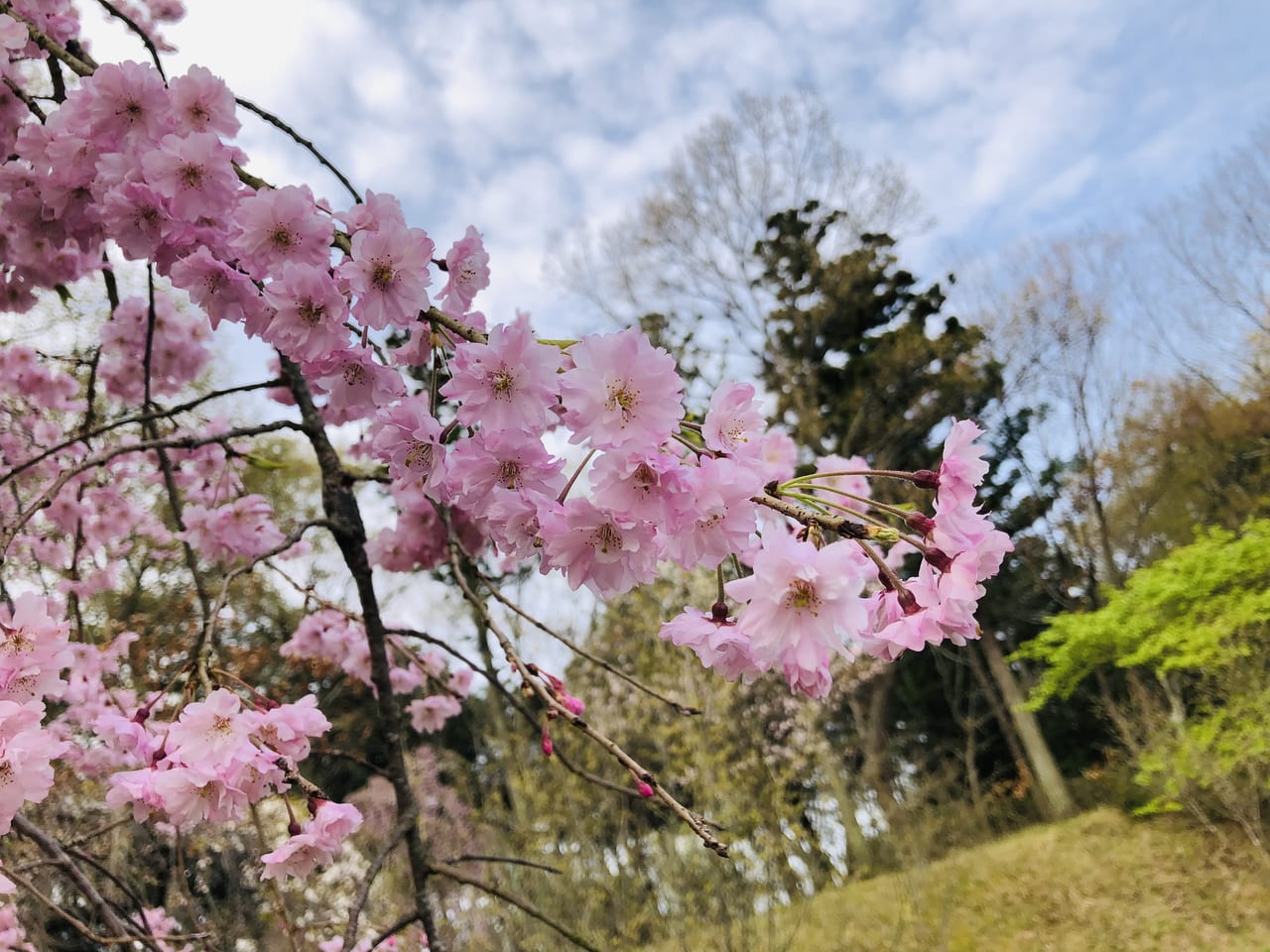 宮山ふるさとふれあい公園