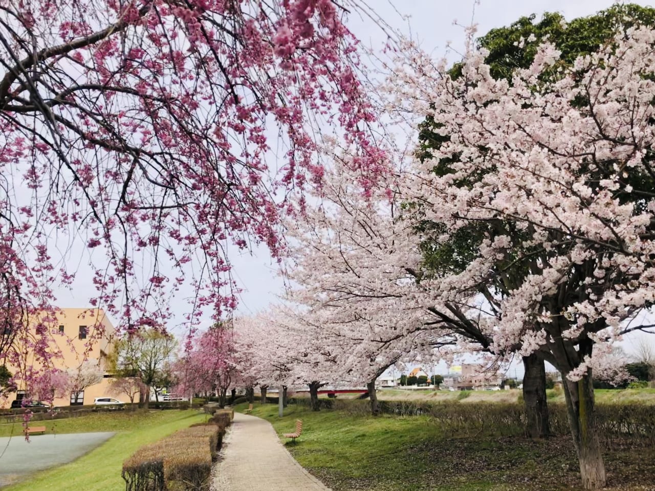 下岡崎近隣公園