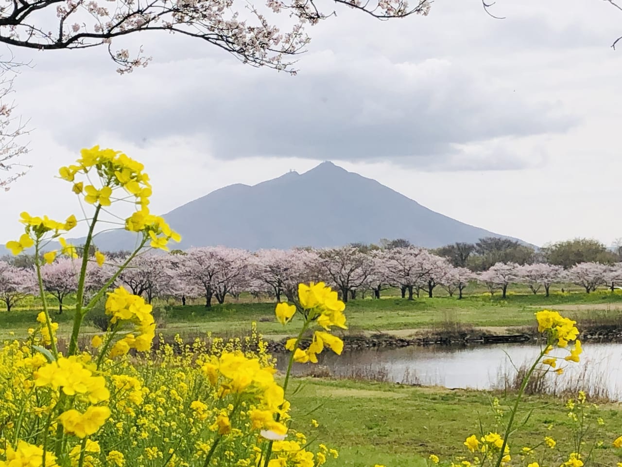 母子島遊水地