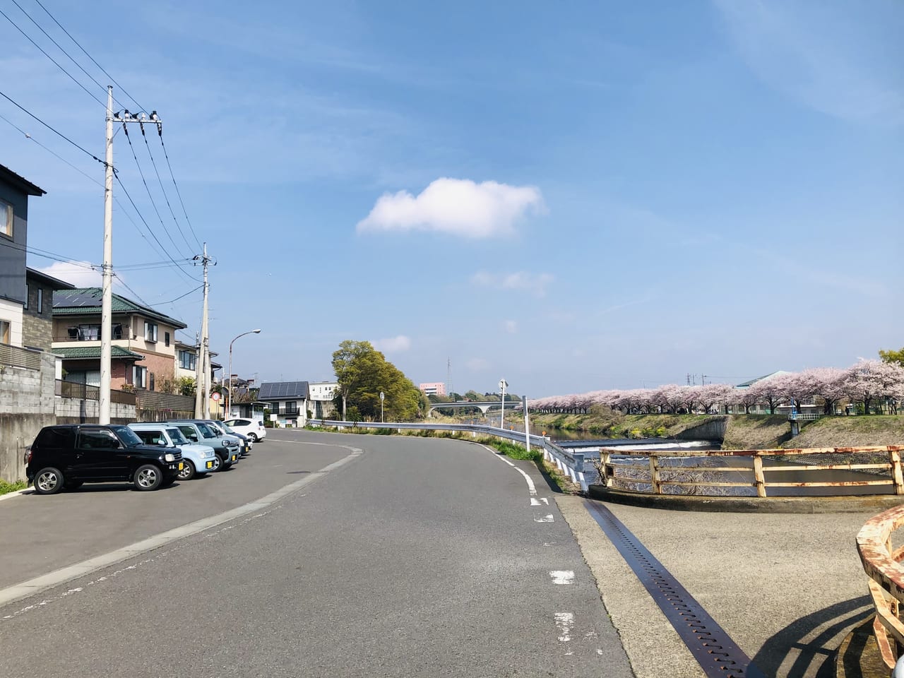 勤行川桜づつみ