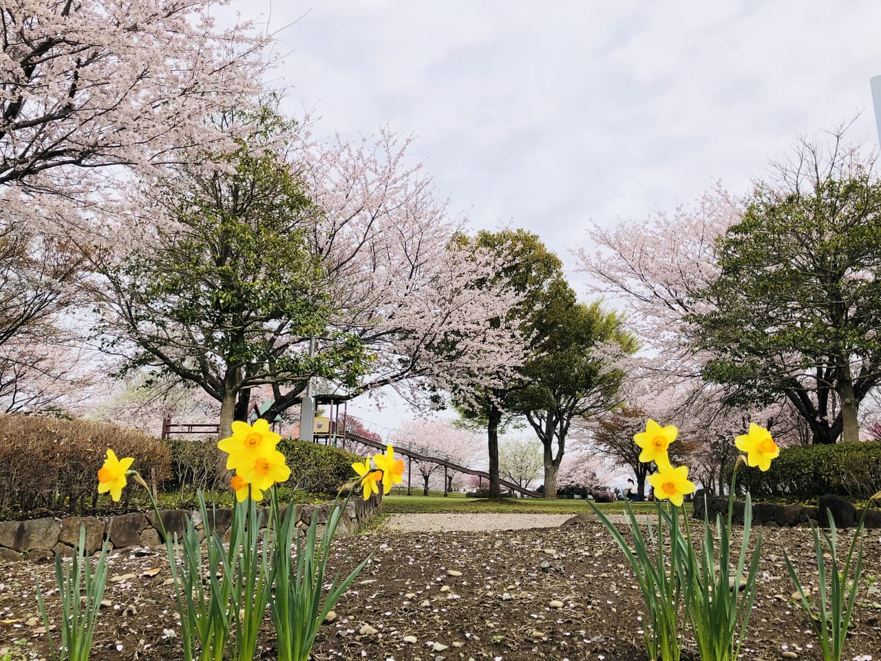 下岡崎近隣公園