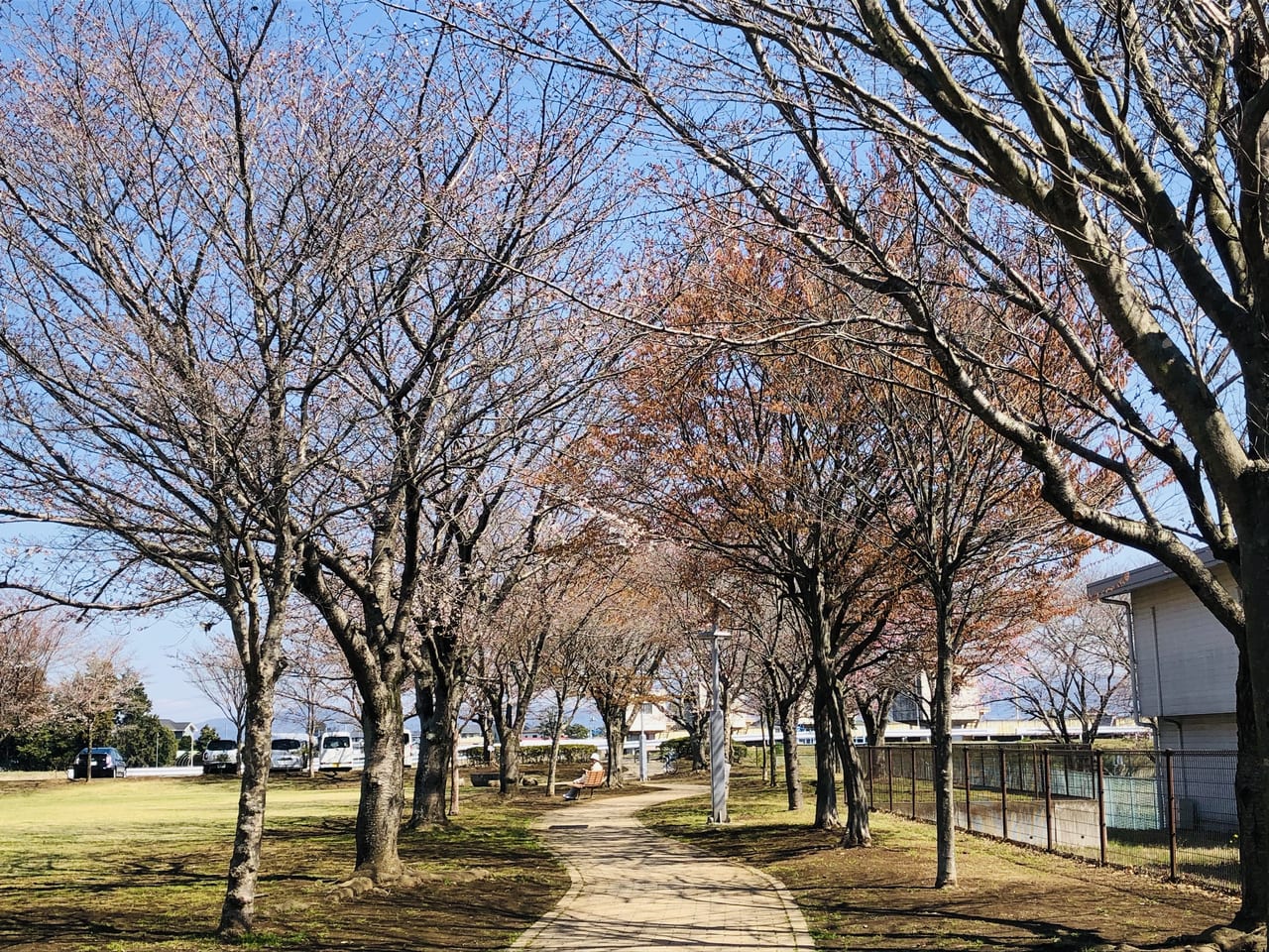 下岡崎近隣公園