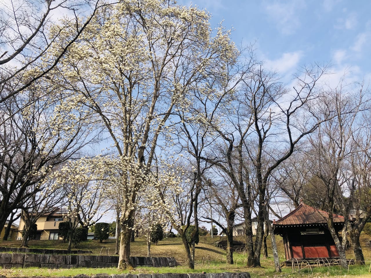 磯部桜川公園