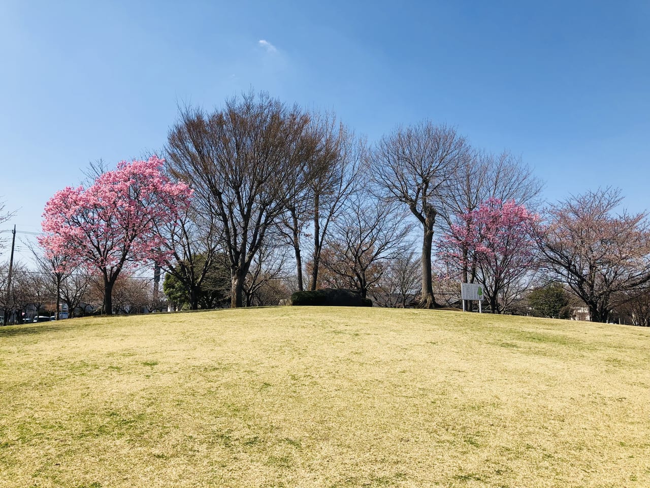 下岡崎近隣公園