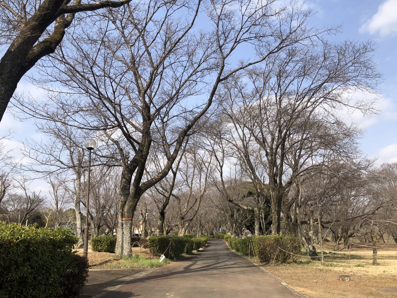 磯部桜川公園