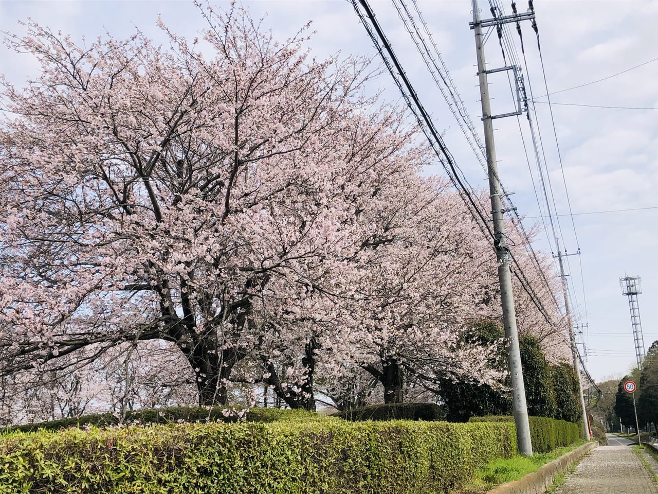 宮山ふるさとふれあい公園