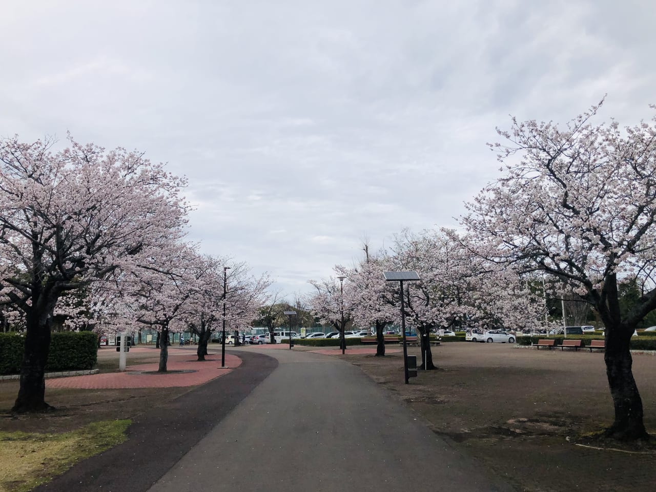 県西総合公園