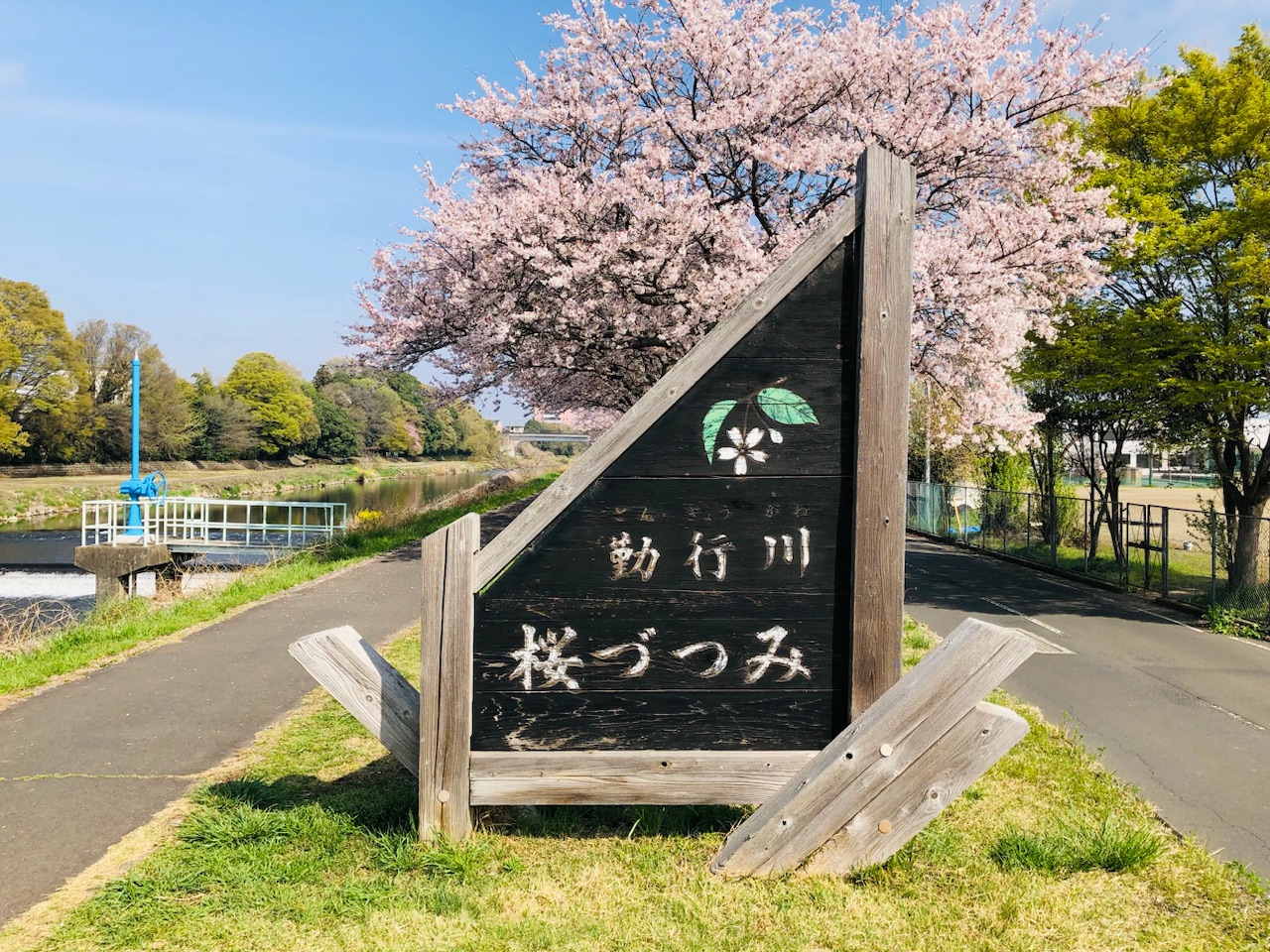 勤行川桜づつみ