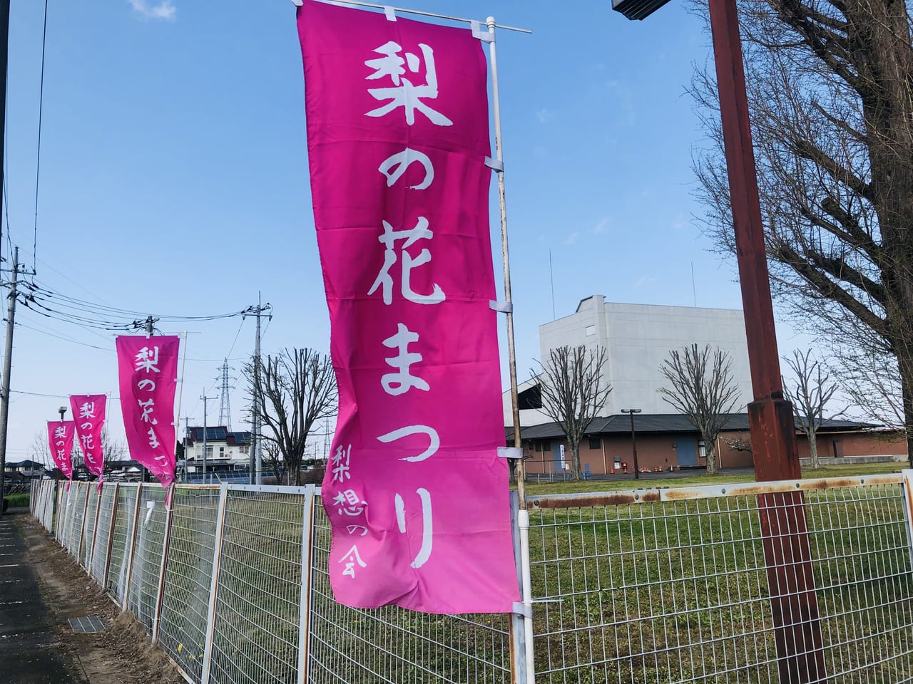 梨の花まつり