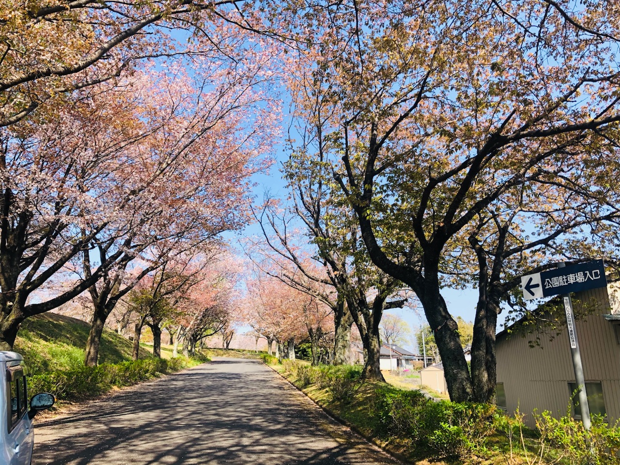 磯部桜川公園