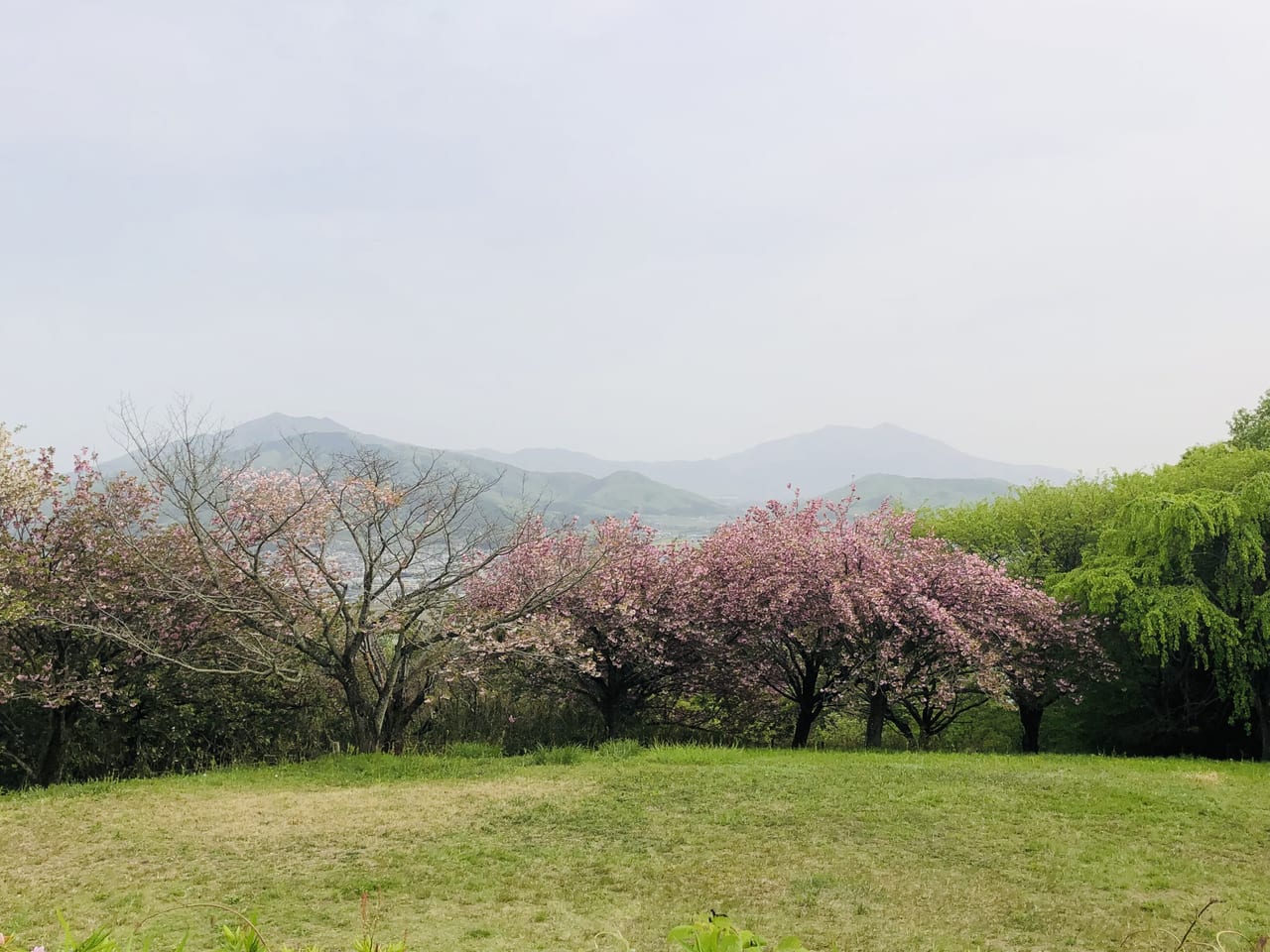 富谷山ふれあい公園