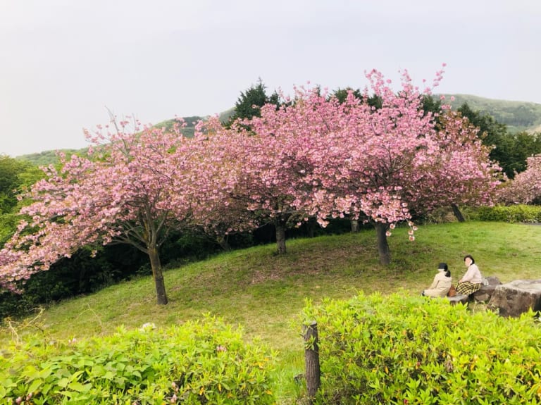 富谷山ふれあい公園