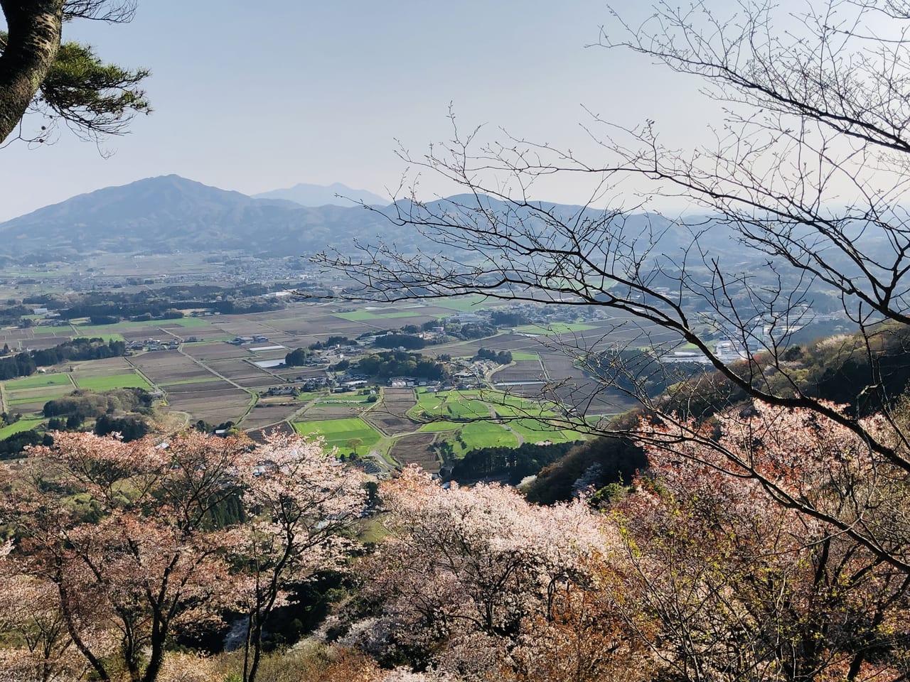 高峯