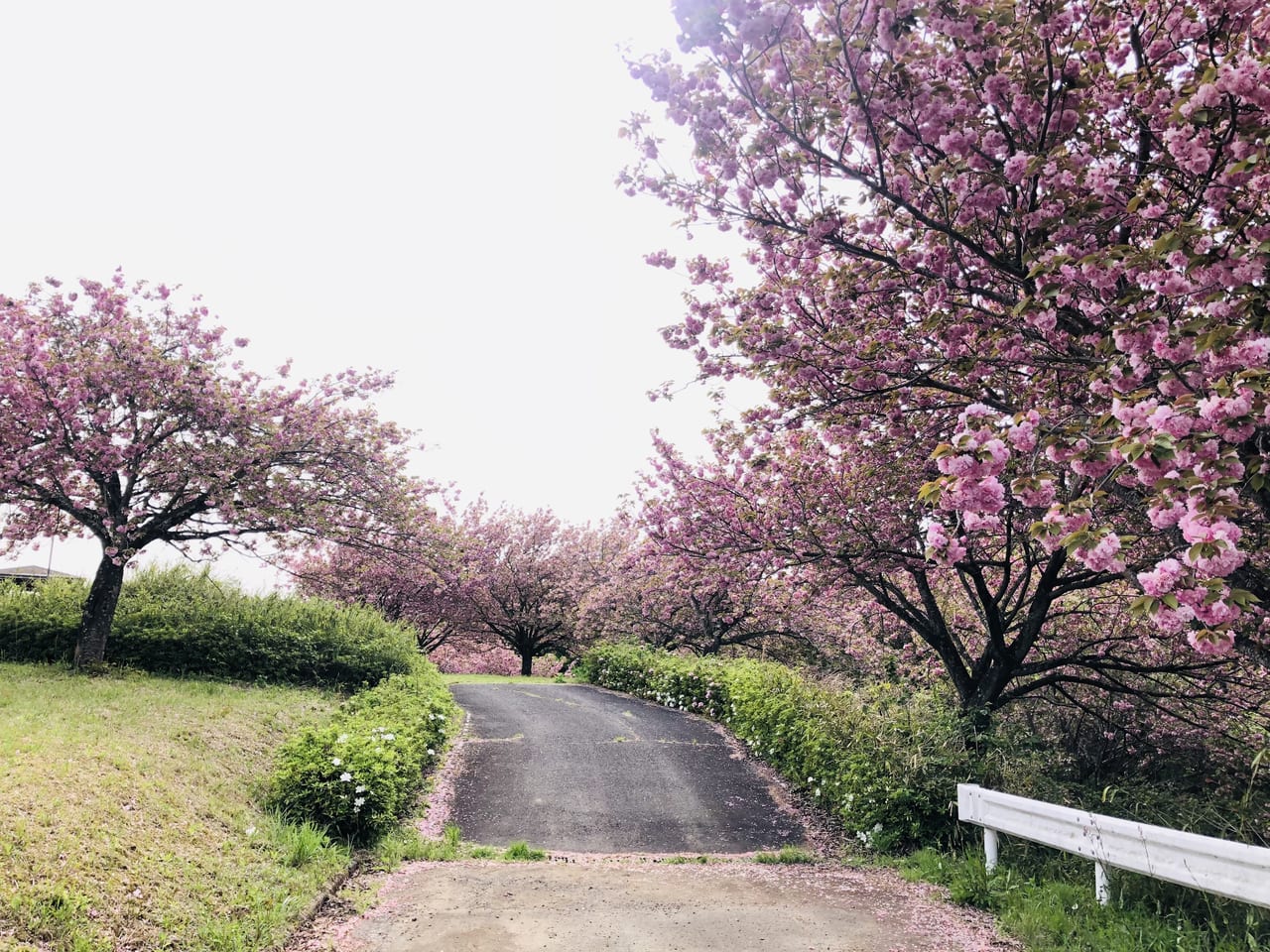 富谷山ふれあい公園