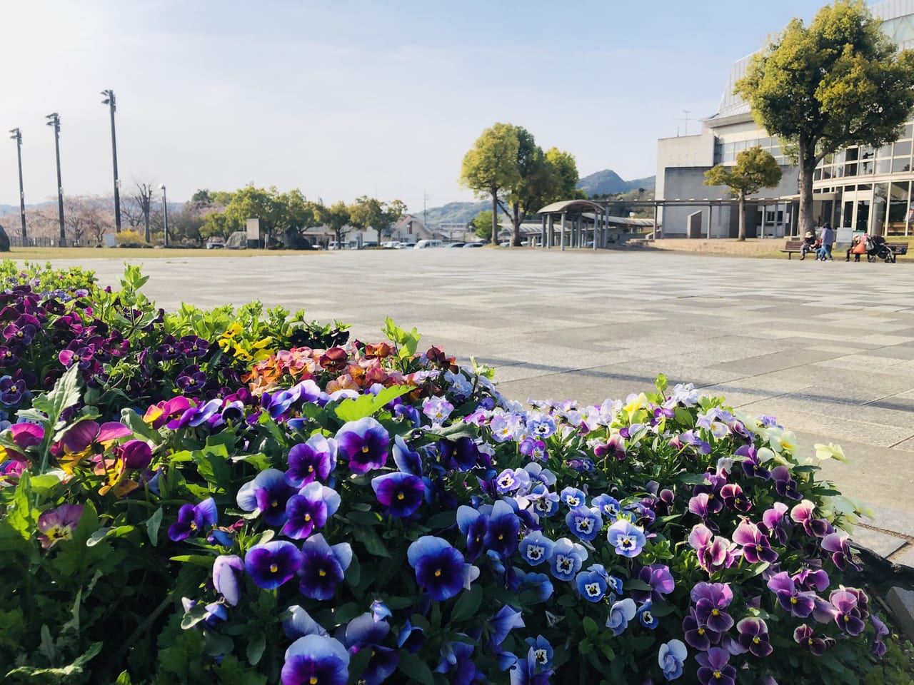 桜川市運動公園