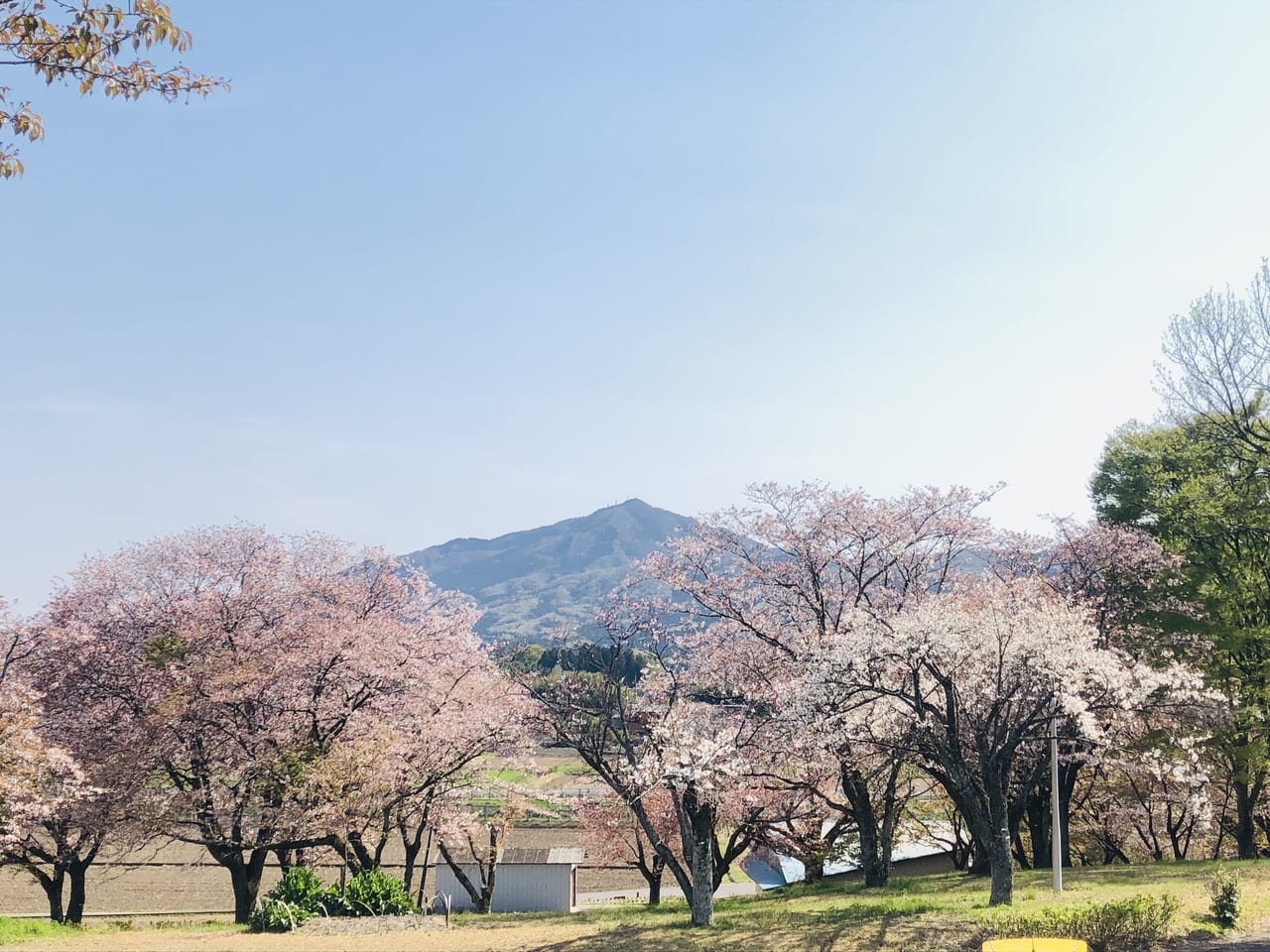 磯部桜川公園