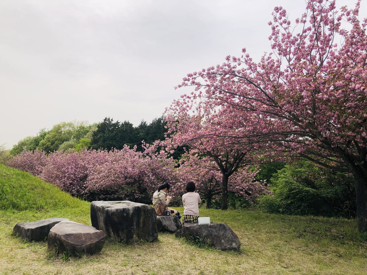 富谷山ふれあい公園