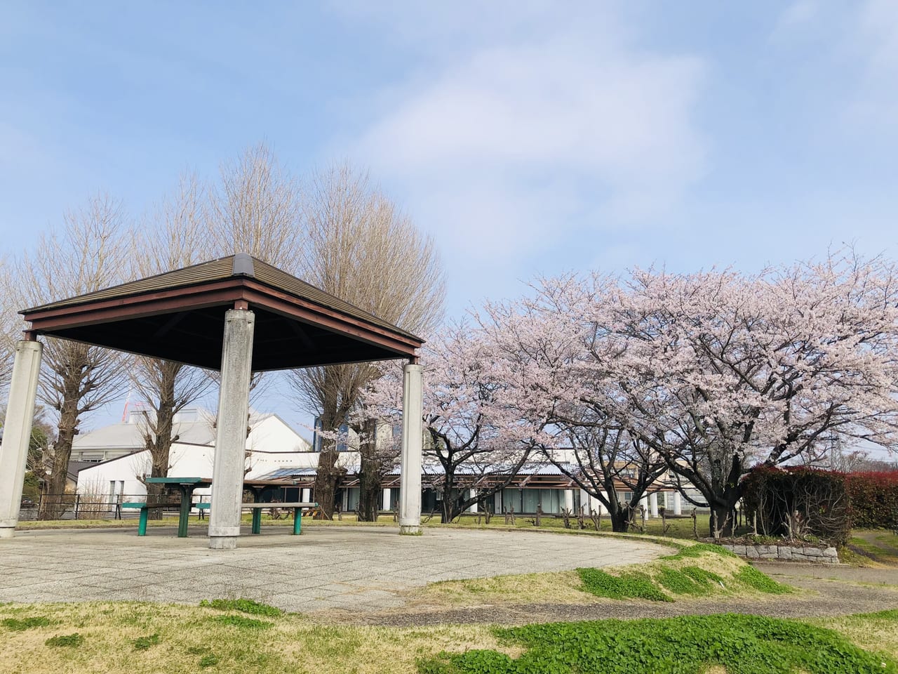 協和の杜公園