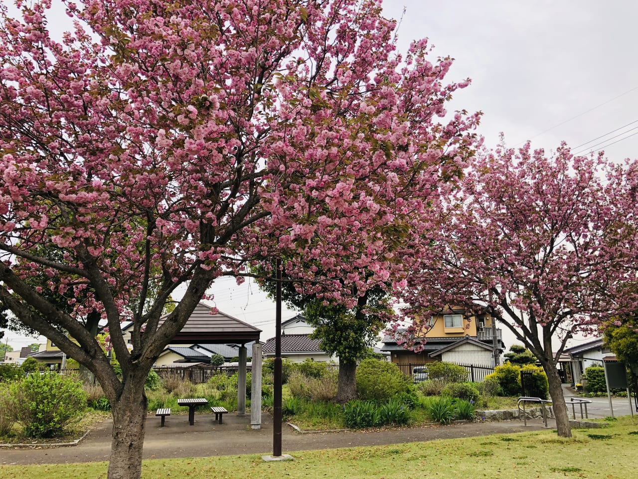 協和の杜公園