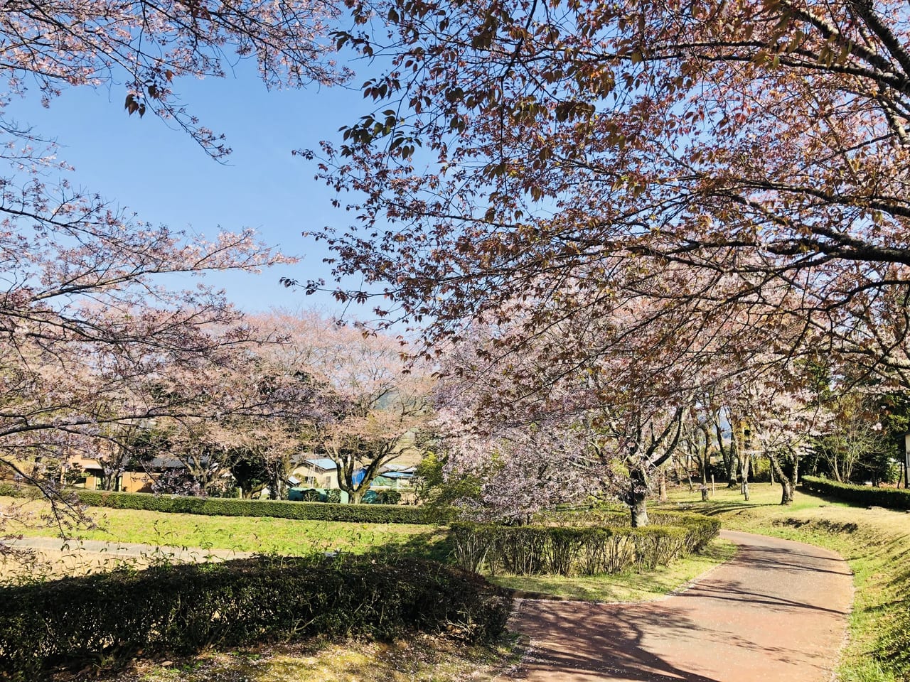 磯部桜川公園