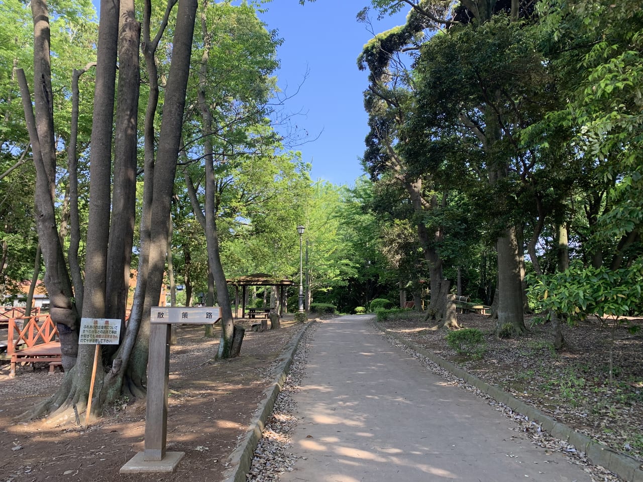 きらくやま遊歩道