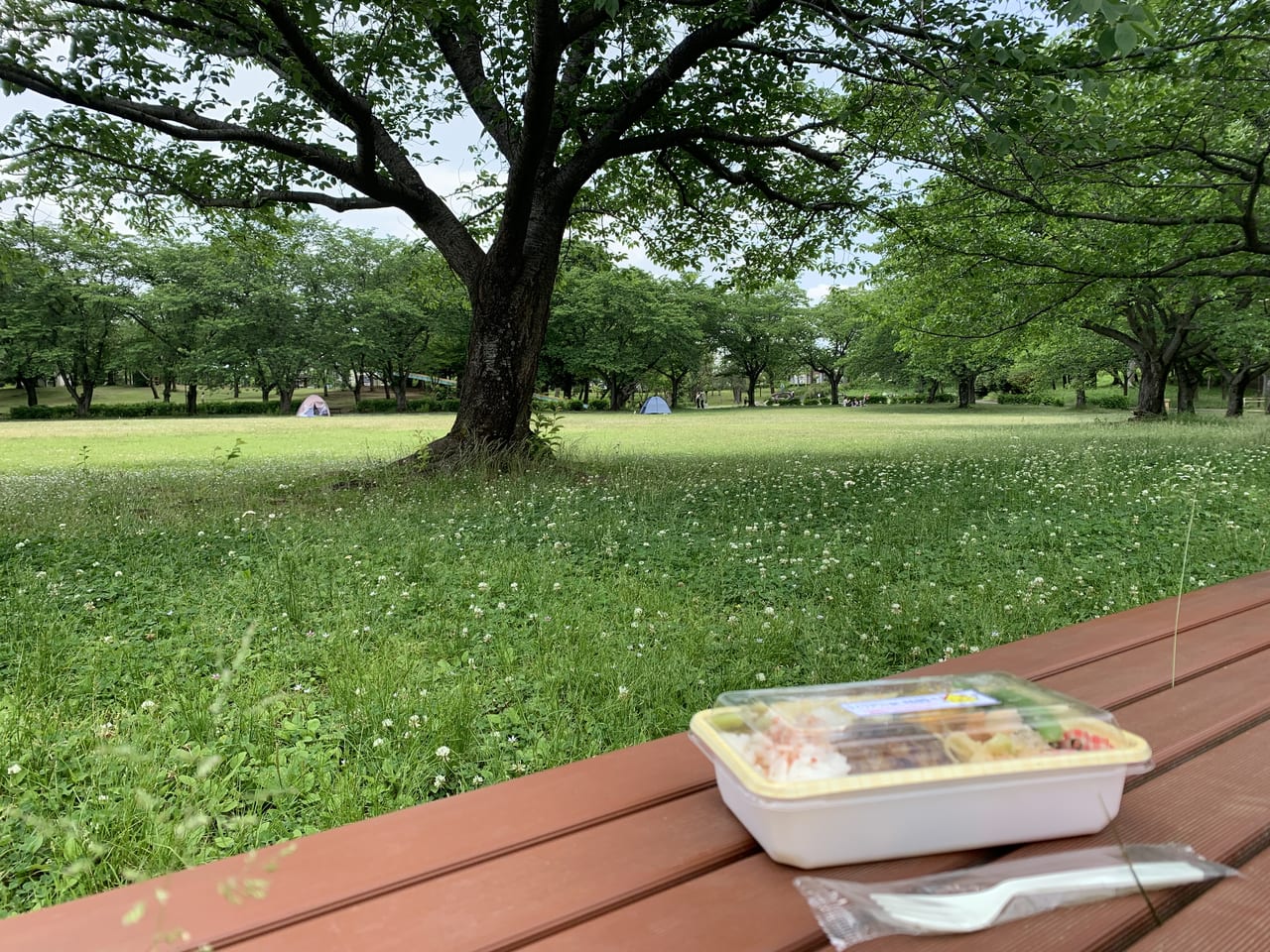 絹の台桜公園にてランチ